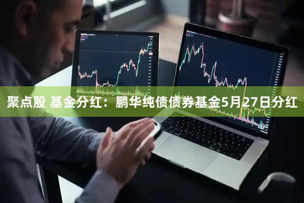 聚点股 基金分红：鹏华纯债债券基金5月27日分红