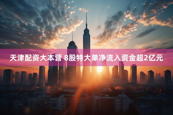 天津配资大本营 8股特大单净流入资金超2亿元