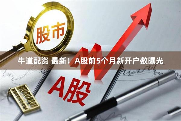 牛道配资 最新！A股前5个月新开户数曝光