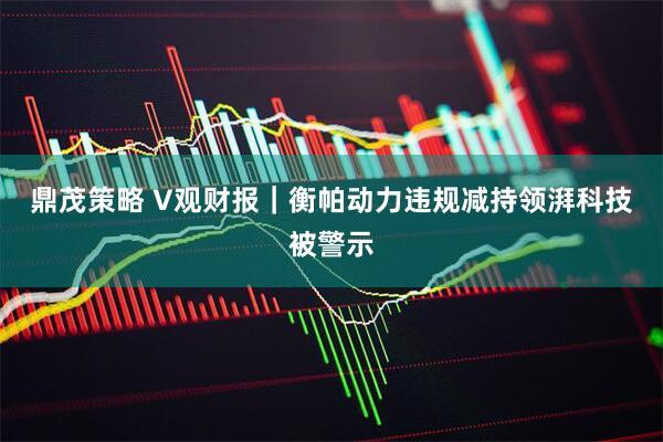鼎茂策略 V观财报｜衡帕动力违规减持领湃科技被警示