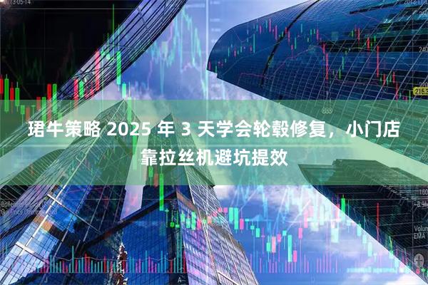 珺牛策略 2025 年 3 天学会轮毂修复，小门店靠拉丝机避坑提效